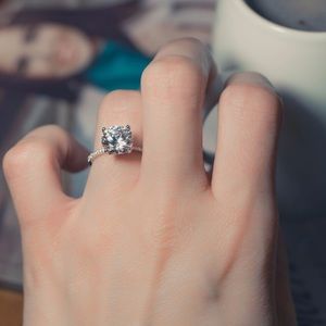 ⬇️ PRICE DROP The Minimalist